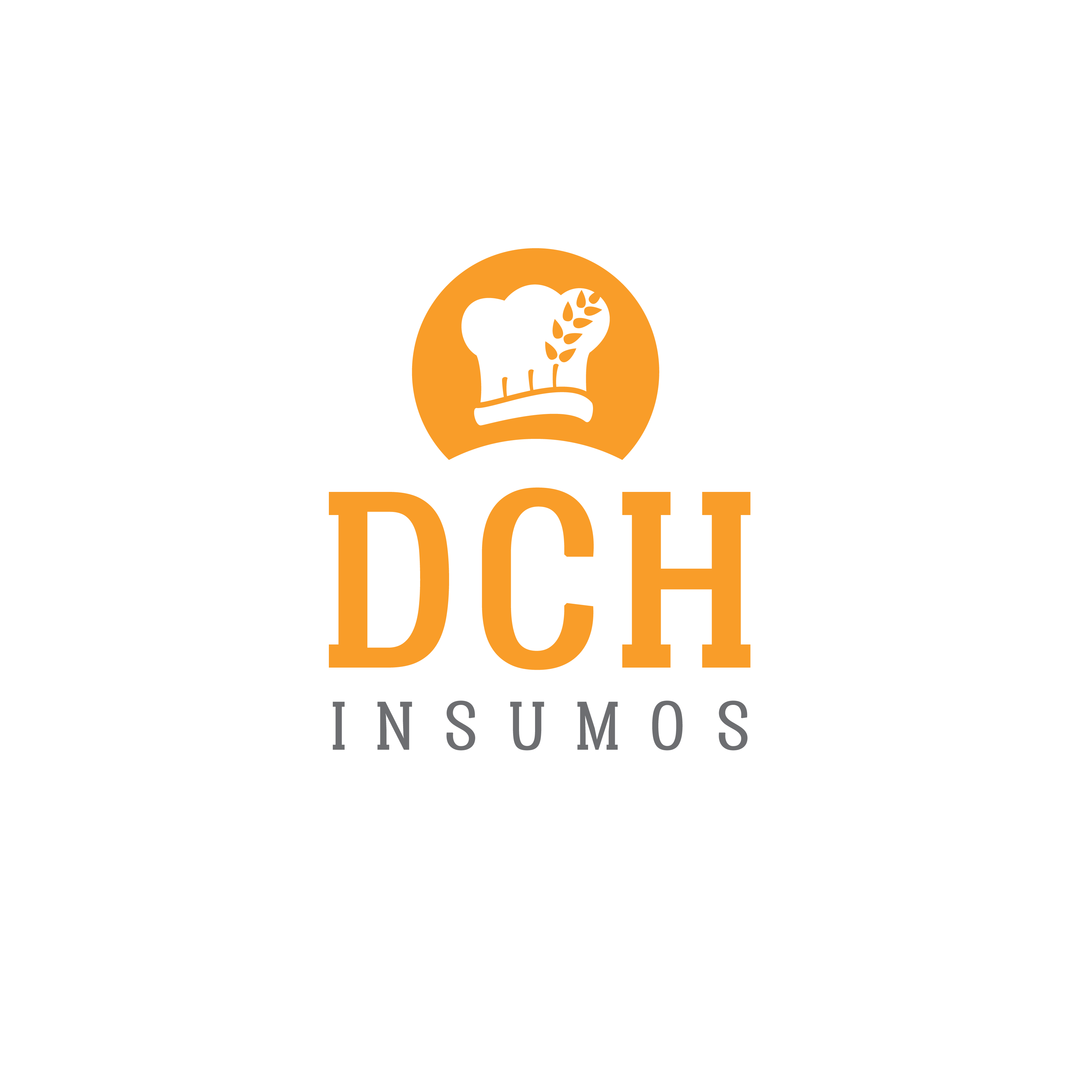 Logo DCH Insumos